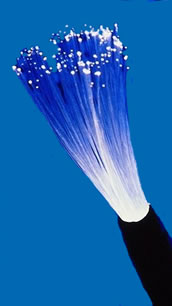 FiOS cable