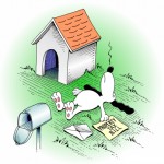 doghouse