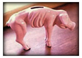 Starving Piggy Bank